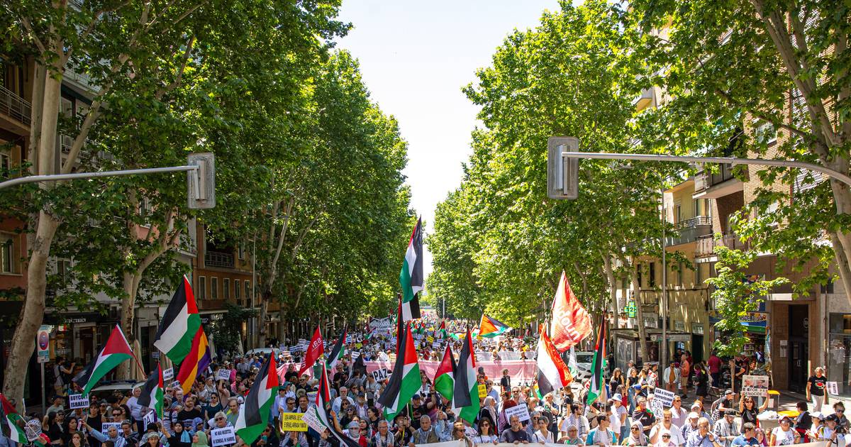 cerca-de-4000-pessoas-desfilam-em-madrid-em-apoio-a-palestina-e-a-favor-de-uma-rutura-com-israel